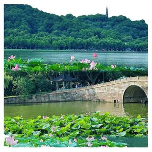 苏州+杭州+乌镇+灵隐飞来峰3日游/升级1晚5钻酒店西栅夜游周庄