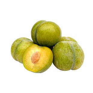 蜂糖李子树苗 贵州镇宁六马正宗原产地李子嫁接苗 黔李友果树包邮