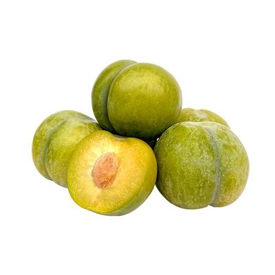 蜂糖李子树苗贵州六马原产地直供