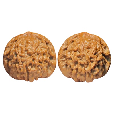 【霸气】龙鼎文玩核桃生日礼物男