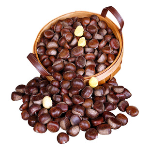 2025年新货正宗河北唐山迁西板栗野生油栗生栗子新鲜栗子大粟子