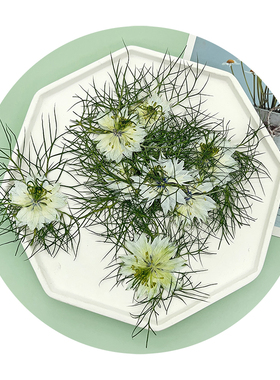 白色小清新幼儿园压花蜡烛装饰