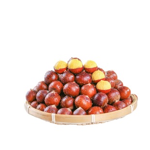 【包邮】2025年建瓯锥栗新鲜现摘高山圆尖栗子高山毛栗子油栗板栗