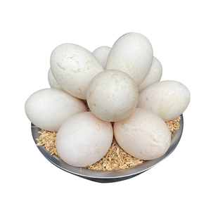 散养特大双黄鸭蛋120-140g新鲜正宗土鸭蛋农家孕妇宝宝辅食包邮