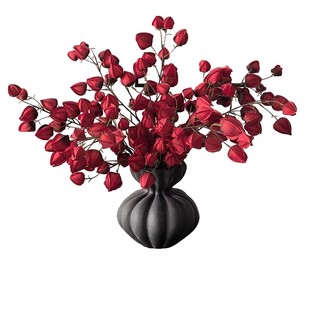 LIVETAI中古风仿真大果灯笼花干花新年喜庆乔迁入户客厅装饰摆件