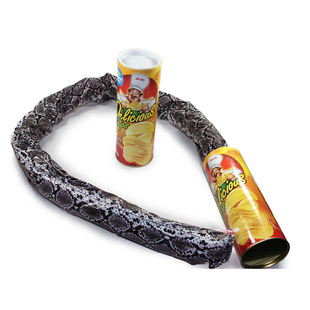 愚人节礼物 朋友吓一跳生日创意礼品整蛊恶搞怪整人玩具薯片桶蛇