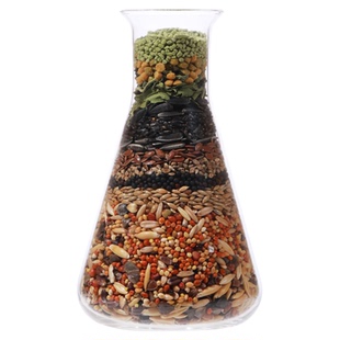 它适牡丹鹦鹉专用粮食黍子饲料滋养丸加纳利子谷子麻鸟食混合鸟粮