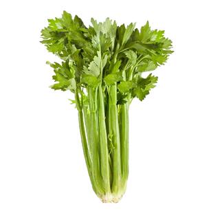 良道天成【有机西芹】云南有机芹菜新鲜带叶应季蔬菜榨汁西芹水