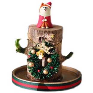 圣诞版水培幸运木巴西木木带芽开花花卉绿植植物室内办公室盆栽