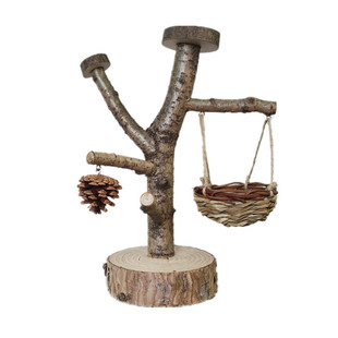 鹦鹉鸟站架秋千栖息玩具虎皮玄风鸟架树枝训练攀爬站杆实木鸟站台