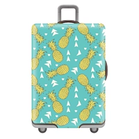 Код ананаса S 19-21 дюйм