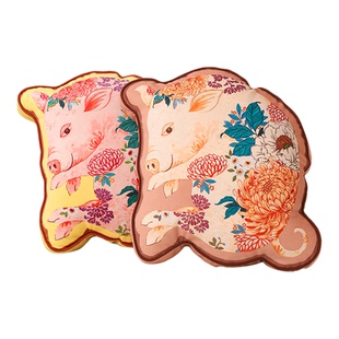 高端沙发抱枕客厅轻奢高级感现代简约2026新款中国风异形靠垫靠背