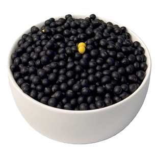 2025新东北黄心黑豆农家自产小粒生豆芽专用黑豆打豆浆高蛋白豆子