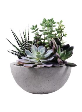 玻璃贴纸墙壁补丁贴绿植贴画
