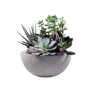 仿真3d立体多肉绿植贴画卧室门贴房门装饰玻璃贴纸浴室墙壁补丁贴