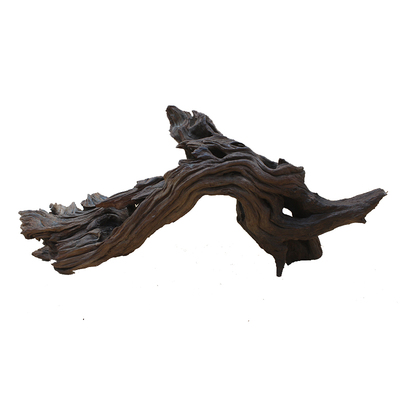 精品南美原生流木躲避紫柚水族