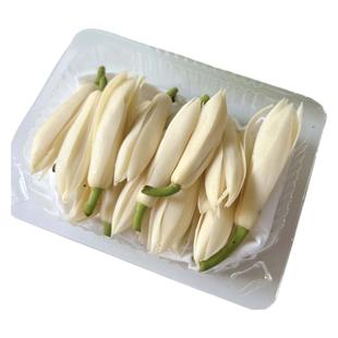 新鲜白兰花苞白玉兰鲜花缅桂白玉兰花现摘泡酒纯露广西顺丰黄角兰