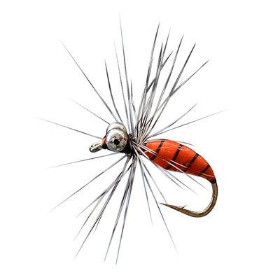 吉良飞蝇钩格里菲斯蚂蚁毒虫毒蚊