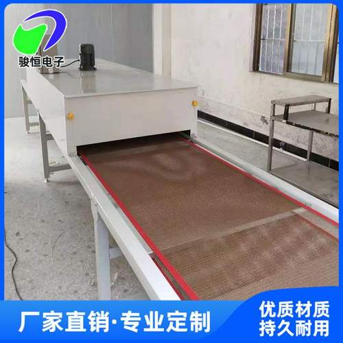 定制网带炉 隧道烘干线 不锈钢网带炉 喷涂房输送线电烘干炉