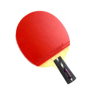 蝴蝶乒乓球拍孔令辉专业级碳素底板蝴蝶王胶皮兵乓球拍横直单拍