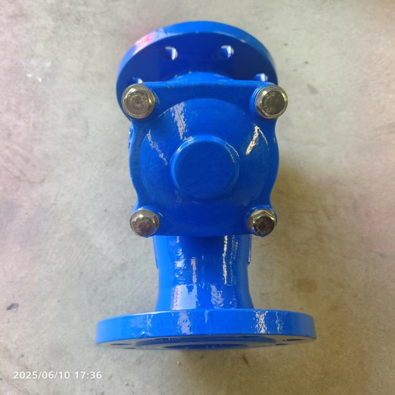 批发德标Y型过滤器全通径水处理管道除污器球墨铸铁法兰Y型过滤器