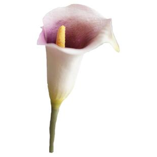 仿真花轻奢高端保湿手感复古紫海芋马蹄莲客厅摆件桌面装饰花卉