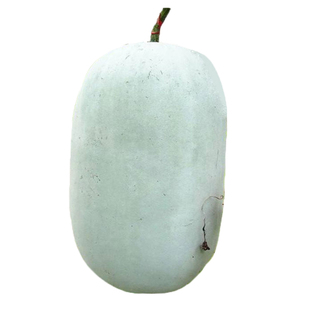 粉皮大冬瓜种子水果小冬瓜种籽白超大四季春夏秋冬水果冬瓜禾之元