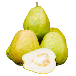 福建软糯白心芭乐黄金奶油芭番石榴新鲜水果顺丰包邮脆甜软心树熟