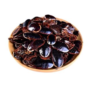 野土鳖虫土鳖子活金边土鳖虫活的金边土元中药材活虫的功效接骨