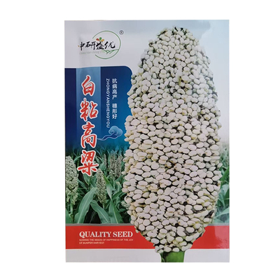 中研盛优白粘高粱种子抗旱耐涝