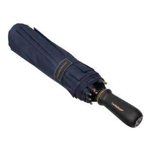 雨伞男士帅气超大号十骨双人手动加大加固折叠伞抗风暴雨女商务伞