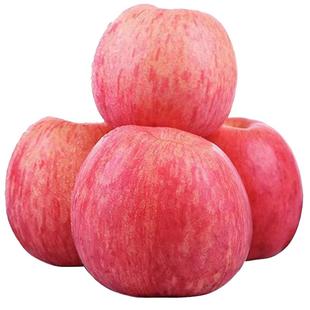 2025年正宗陕西西安洛川红富士苹果产地直发高端水晶富士直销24枚
