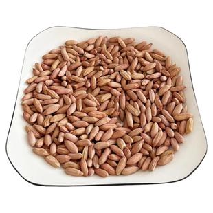 山东25年小瘪花生米生新花生小粒细长扁生花生仁甘甜干瘪特产零食