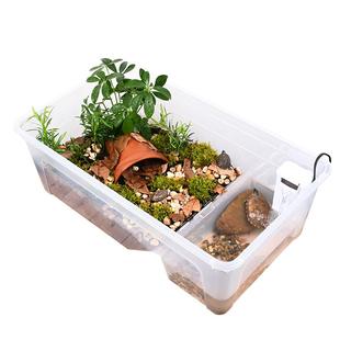 乌龟饲养缸巴西草龟专用缸生态造景别墅特大号水陆两用盒植物套餐