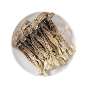 【当季新菇】鹿茸菇古田特产干货鹿茸菌批发新鲜煲汤嫩菇