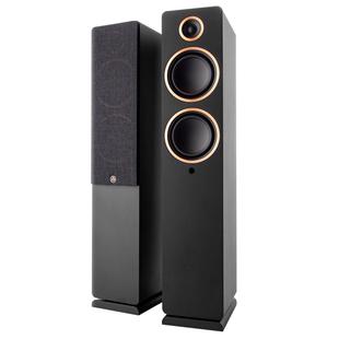 ARGON AUDIO阿尔歌FENRIS A55有源落地箱蓝牙音箱高保真hifi音响