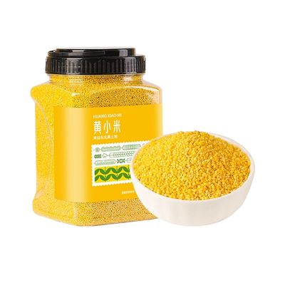 东北黄小米米油多多当季新米