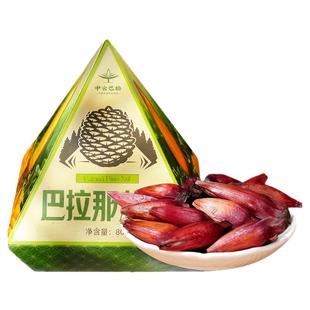 巴拉那松子云南特产原味熟食拇指大松子大颗粒坚果零食休闲小吃