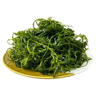 新鲜长寿菜海藻凉拌火锅食材鞭炮笋商用5斤整箱海草富贵菜马尾藻