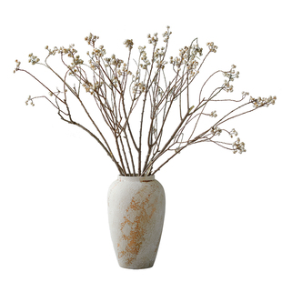 侘寂风天然乌桕果小白果干花束真花民宿客厅禅意插花装饰干枝摆件