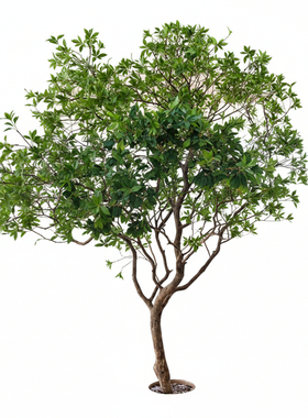 仿真绿植高端轻奢马醉木造景景观高级感逼真仿生植物落地盆栽假树