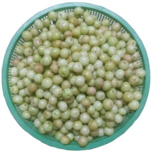 柿饼甜种油甘包邮 潮汕新鲜现摘油甘果余甘果 油甘子滇橄榄油柑子