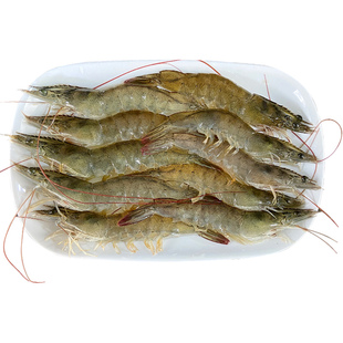 对虾新鲜鲜活冷冻潮汕海鲜水产海虾白虾青虾明虾白刺虾大虾基围虾