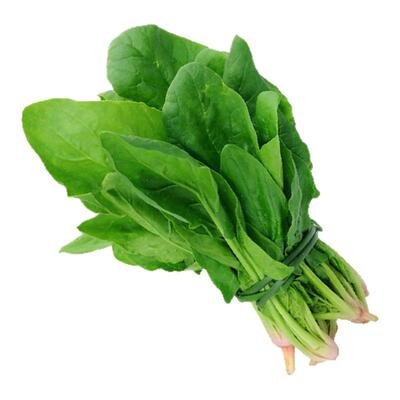 新鲜菠菜沁蕊绿色时蔬
