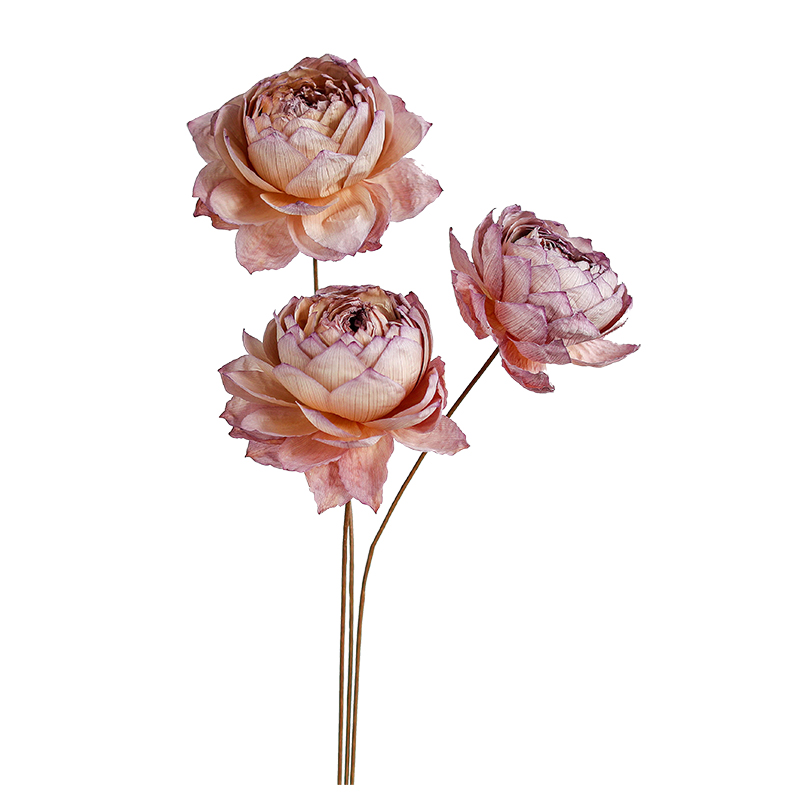 高级重瓣荷花莲蓬莲花干花真花风干天然客厅装饰禅意摆件轻奢高档