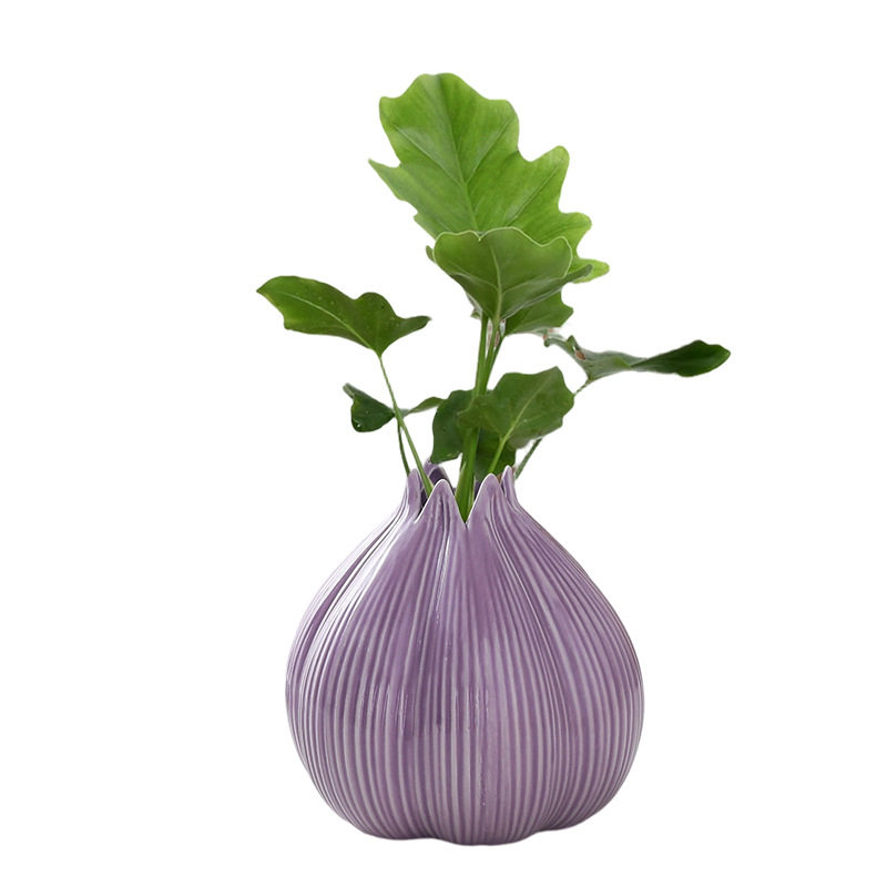 紫色洋葱小清新陶瓷花瓶干花鲜花水培家居客厅桌面插花器装饰摆件