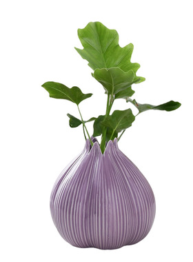 紫色洋葱小清新陶瓷花瓶干花鲜花水培家居客厅桌面插花器装饰摆件