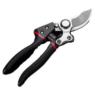 SK5家用花艺园艺修枝剪高枝剪剪葡萄专用神器不锈钢剪刀水果剪刀