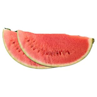 新红宝西瓜 抗重茬懒汉西瓜种子 特大巨型西瓜 菜园家庭西瓜种子