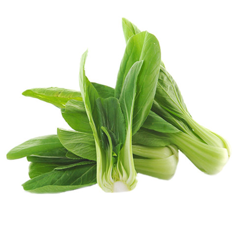 白梗鸡毛菜种子耐热快菜矮脚小白菜种籽春季夏季秋季四季青菜种籽